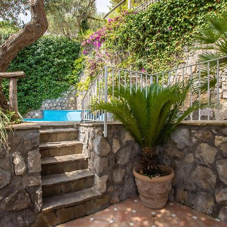 Villa Rita Apartments Massa Lubrense Ngoại thất bức ảnh