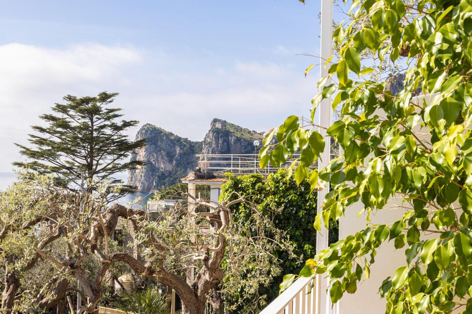 Villa Rita Apartments Massa Lubrense Ngoại thất bức ảnh